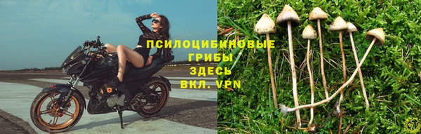 спайс Абаза