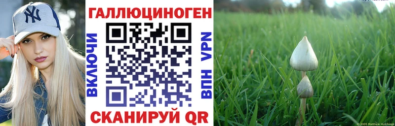 Псилоцибиновые грибы GOLDEN TEACHER  Горячеводский 